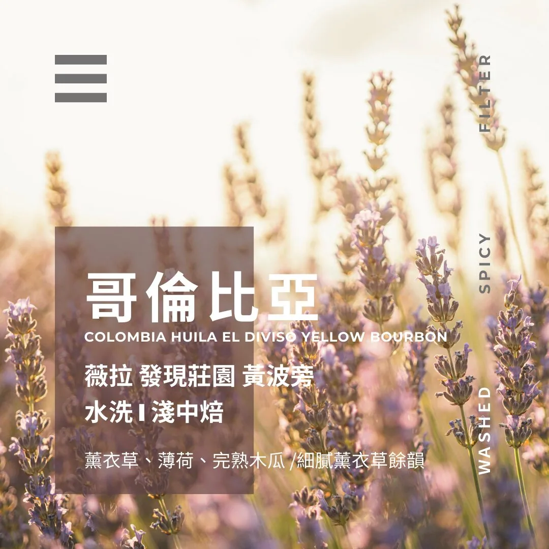 哥倫比亞 ▸ 薇拉 發現莊園 黃波旁 coffee by 燃木咖啡研究所_咖啡豆販售專門