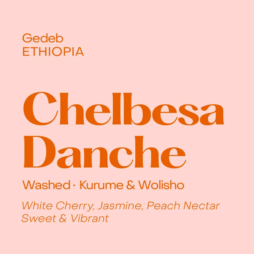 ethiopia chelbesa danche, washed kurume & wolisho - ethiopia coffee by subtext coffee roasters
