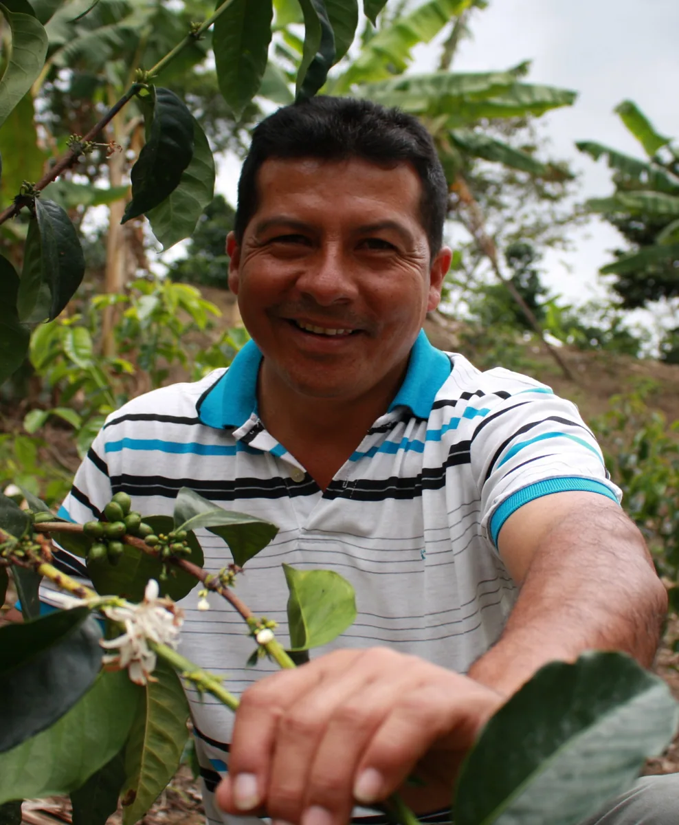 colombia colombia la miel pink bourbon double anaerobic natural filter coffee by passport specialty coffee