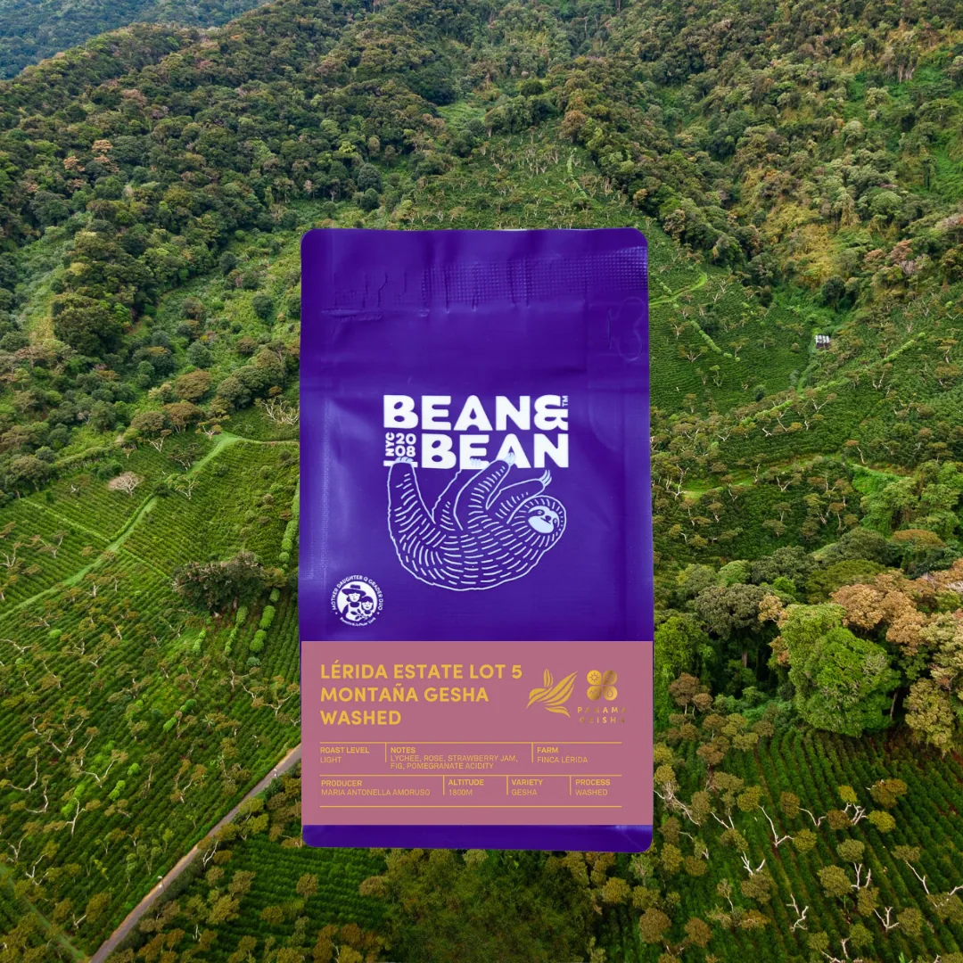 panama lérida estate lot 5 montaña gesha washed coffee by bean & bean queens — roastery & cafe