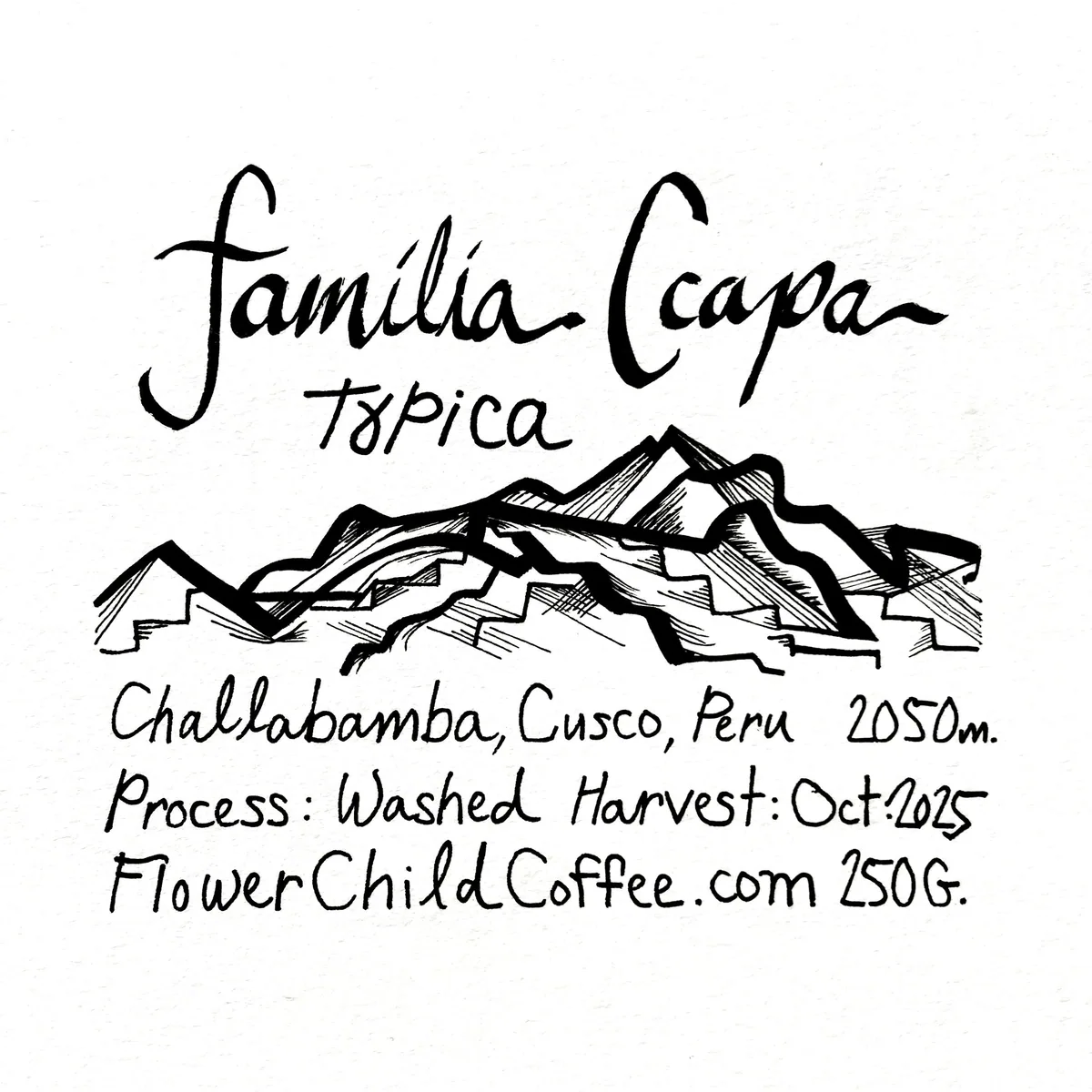 familia ccapa - typica - ethiopia + peru + india coffee by flower child