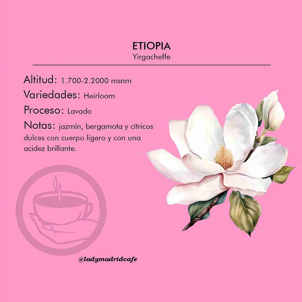 café etiopía yirgacheffe | 250g | 85pts sca coffee by lady madrid roaster y speciality coffee