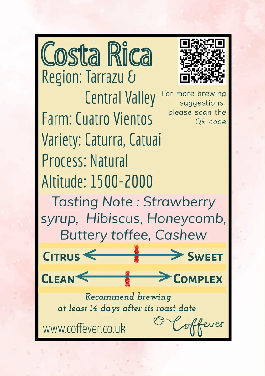 cuatro vientos costa rica coffee by coffever coffee roastery