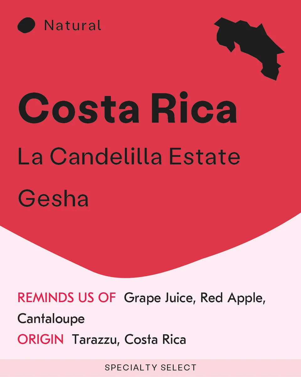 costa rica, la candelilla gesha coffee by sk coffee: whittier