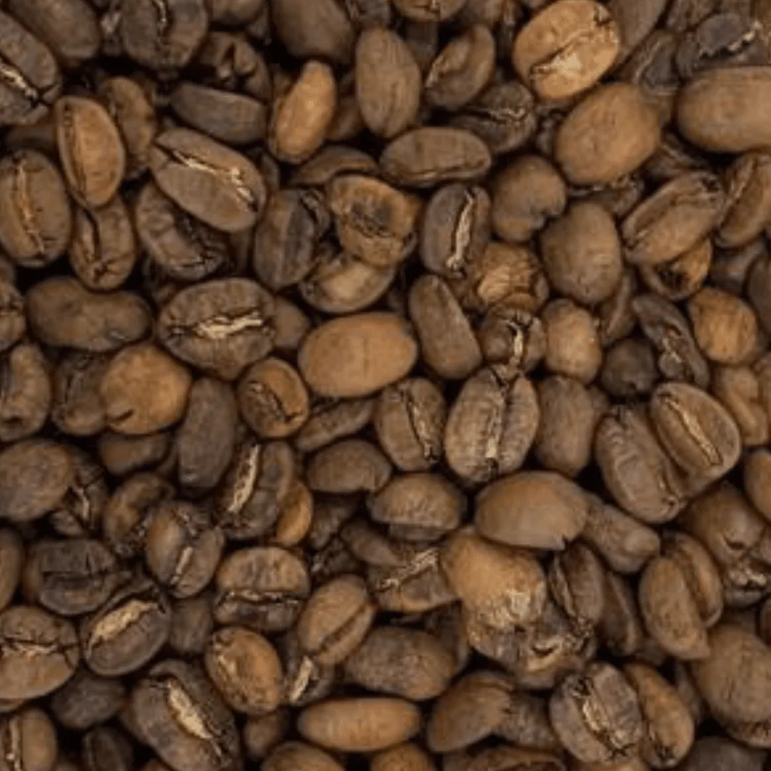 roasted arabica lintong coffee - sumatra coffee by pt. indonesia specialty coffee