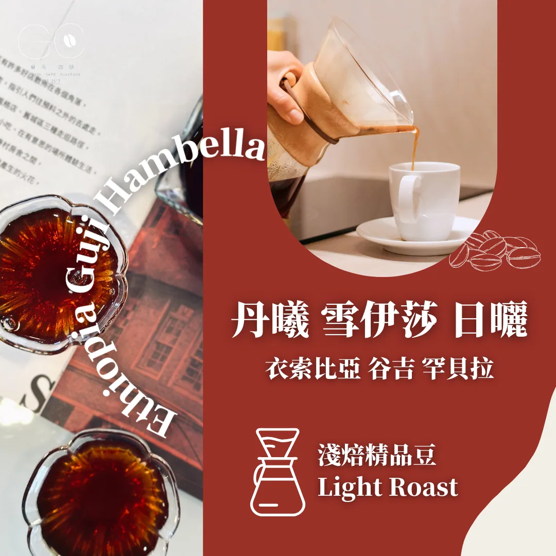 淺焙|衣索比亞 谷吉 罕貝拉 丹曦 雪伊莎 日曬 ethiopia guji hambella danse sayisa natural coffee by gazecafe