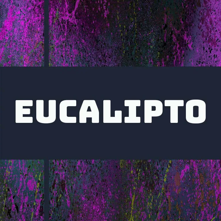 peru eucalipto coffee by django coffee co.