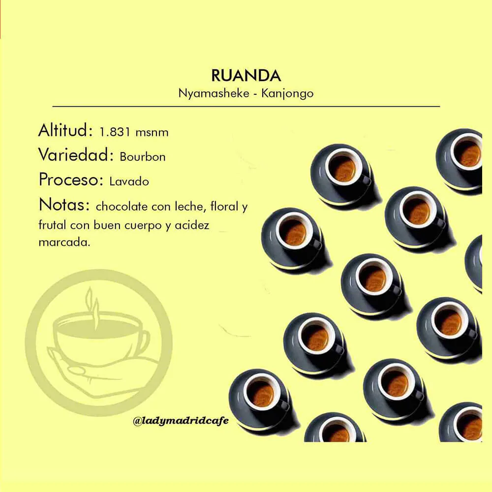 café ruanda – región nyamasheke & kanjongo coffee by lady madrid roaster y speciality coffee