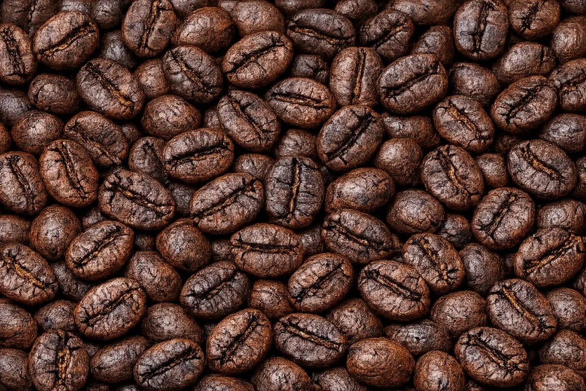 aged roasted coffee beans - indonesia + sumatra coffee by pt. indonesia specialty coffee