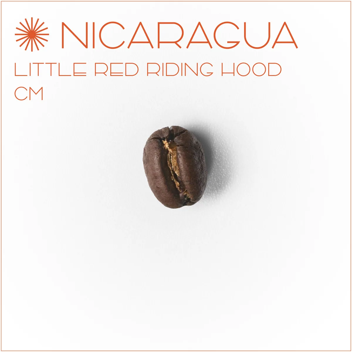 니카라과 리틀 레드 라이딩 후드 cm - nicaragua coffee by el cafe coffee roasters