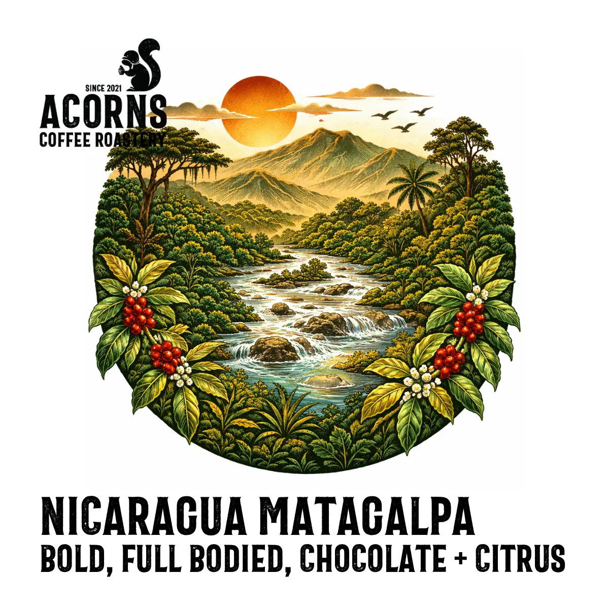 nicaragua matagalpa coffee by acorns coffee and cake