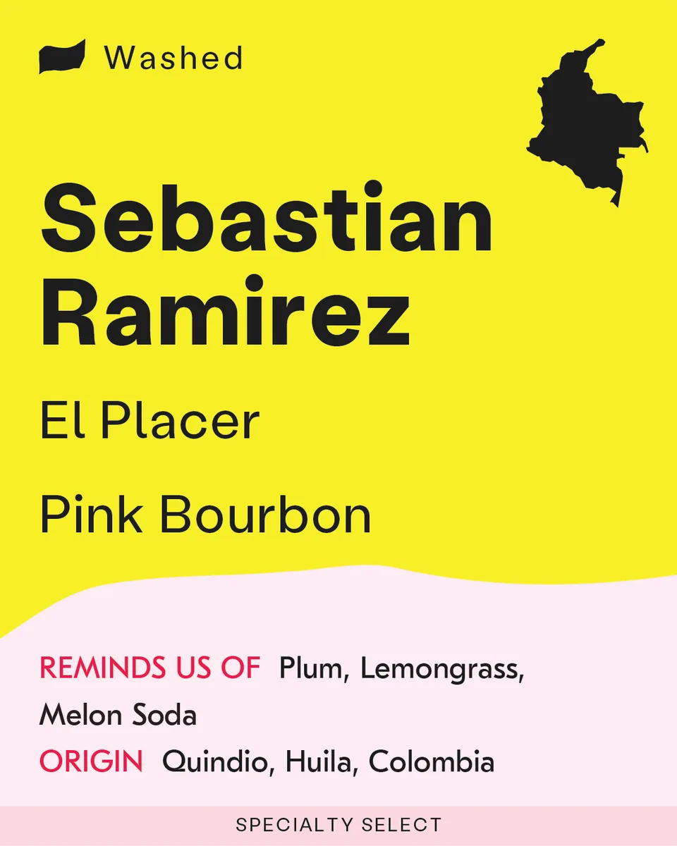 colombia, sebastian ramirez - pink bourbon coffee by sk coffee: coffee bar & roastery