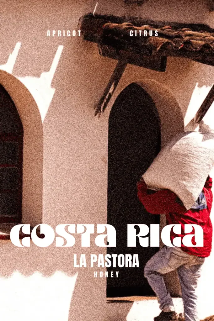 costa rica – la pastora coffee by marshall street coffee