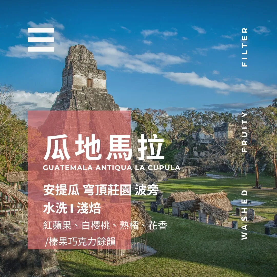 瓜地馬拉 ▸ 安提瓜 穹頂莊園 波旁 coffee by 燃木咖啡研究所_咖啡豆販售專門