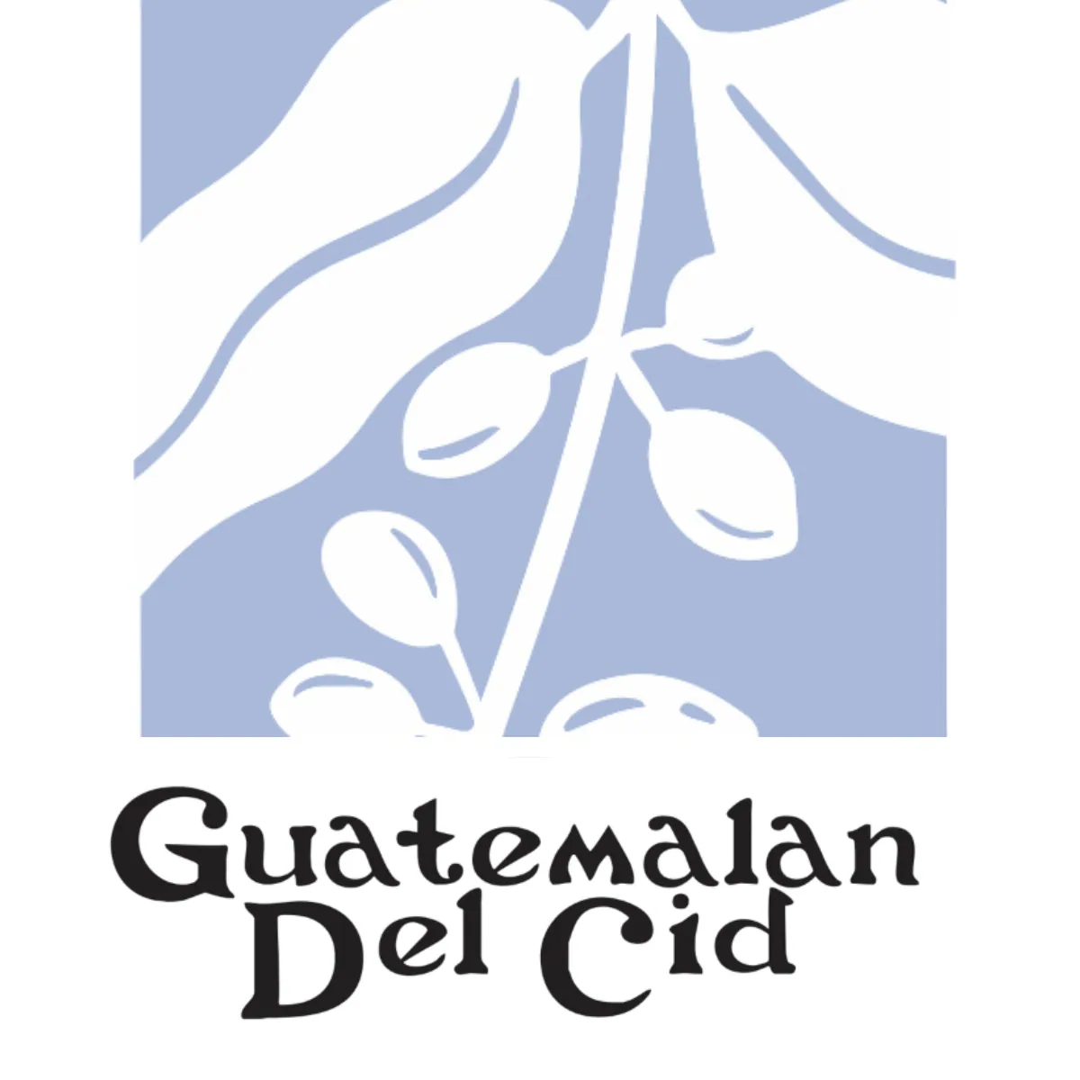 guatemalan del cid (12oz) coffee by valkyrie coffee roasters