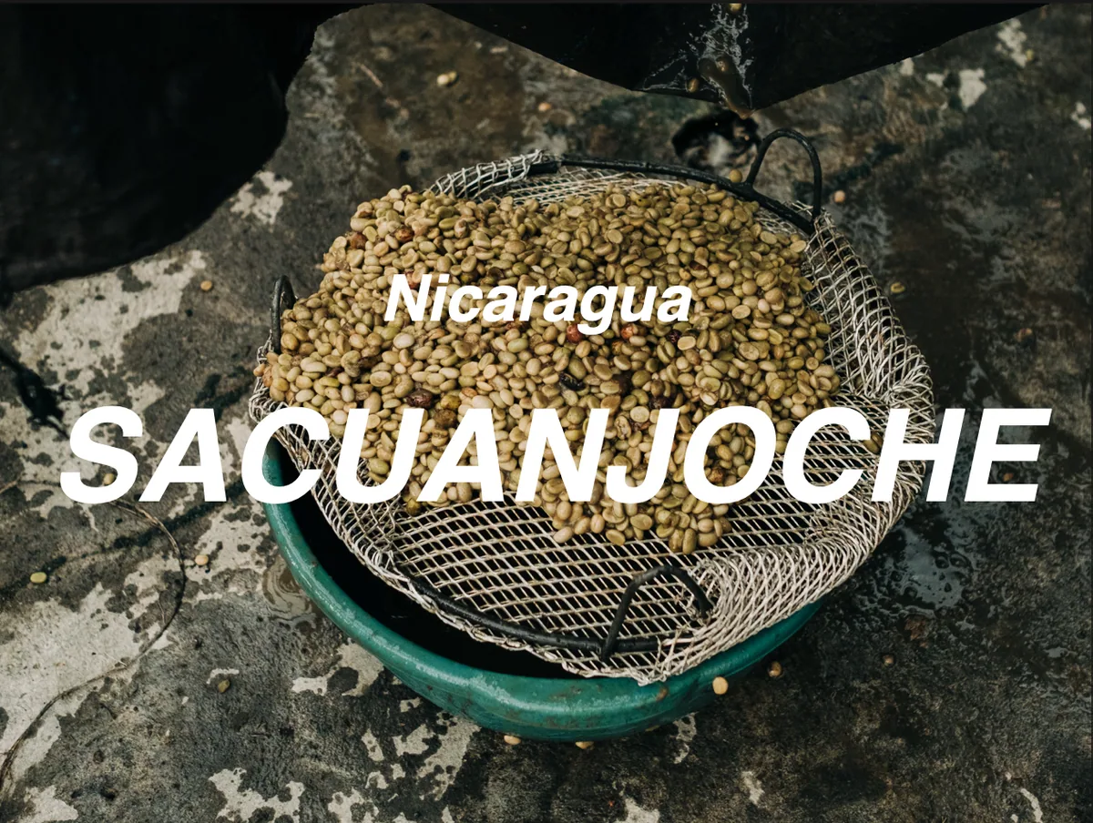 尼加拉瓜 緬梔花 爪哇 水洗 (nicaragua nueva segovia sacuanjoche java washed) - nicaragua + indonesia coffee by moonshine coffee roasters | 私釀咖啡商行 (敦南旗艦店)
