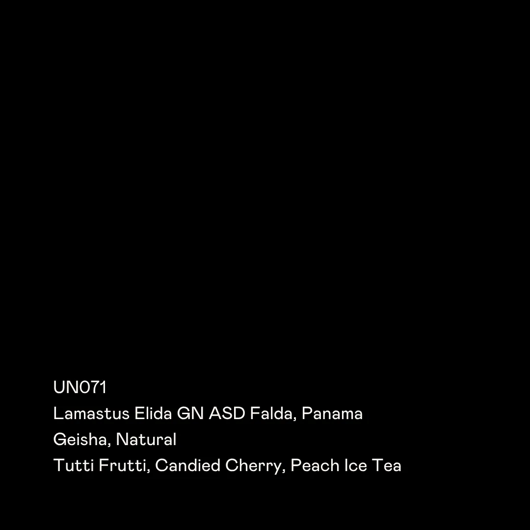 un071 - lamastus elida gn asd falda, geisha natural coffee by special guests
