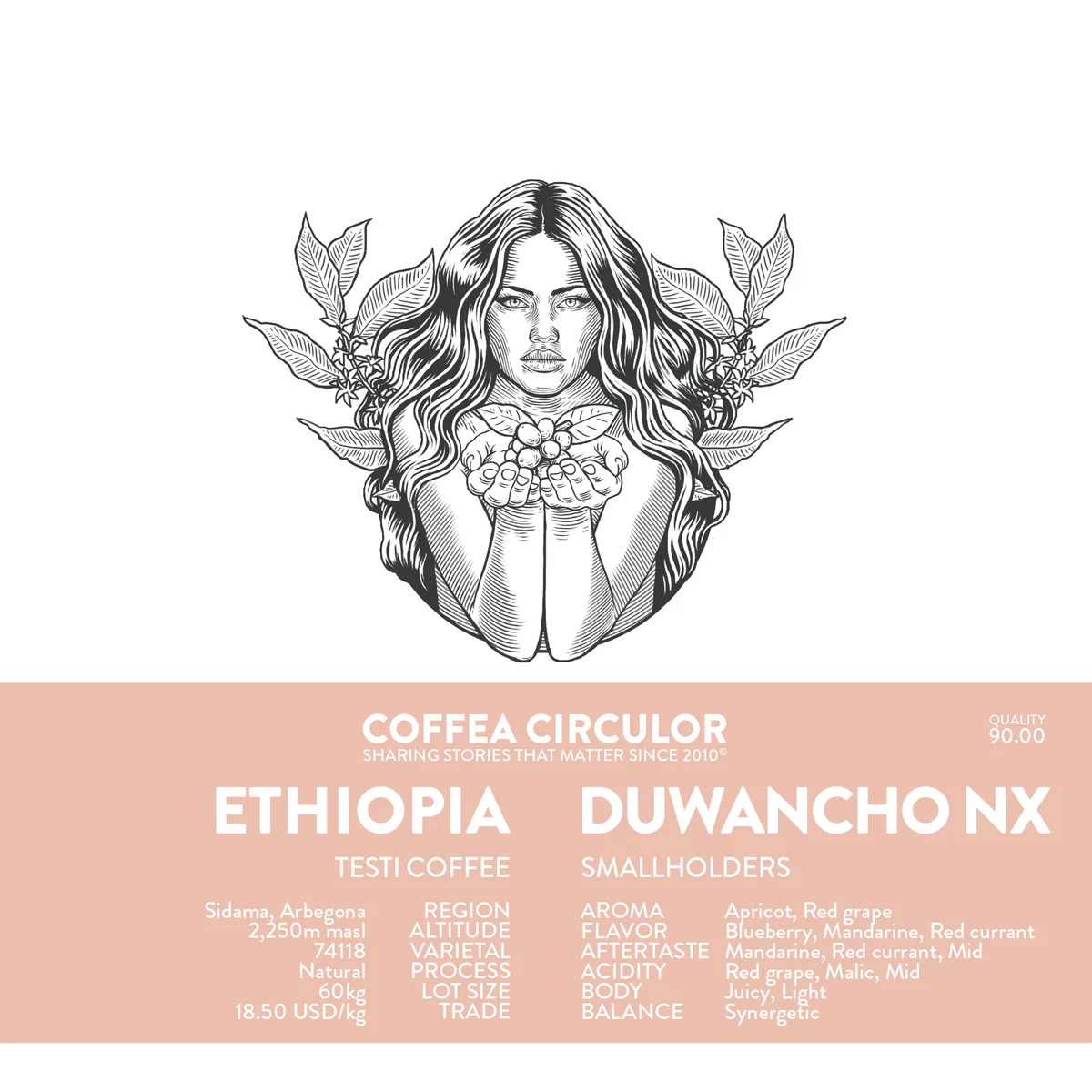 ethiopia duwancho natural nx - ethiopia coffee by coffea circulor
