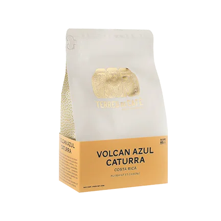 costa rica volcan azul caturra coffee by de'longhi coffee lounge