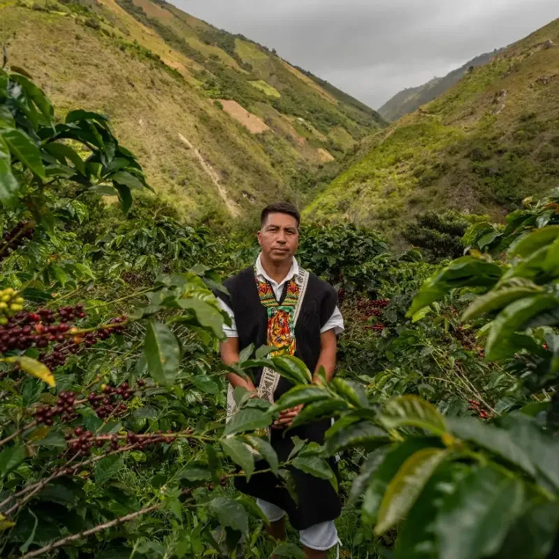 colombia -tablon de gomez project coffee by neighbourhood coffee roasters