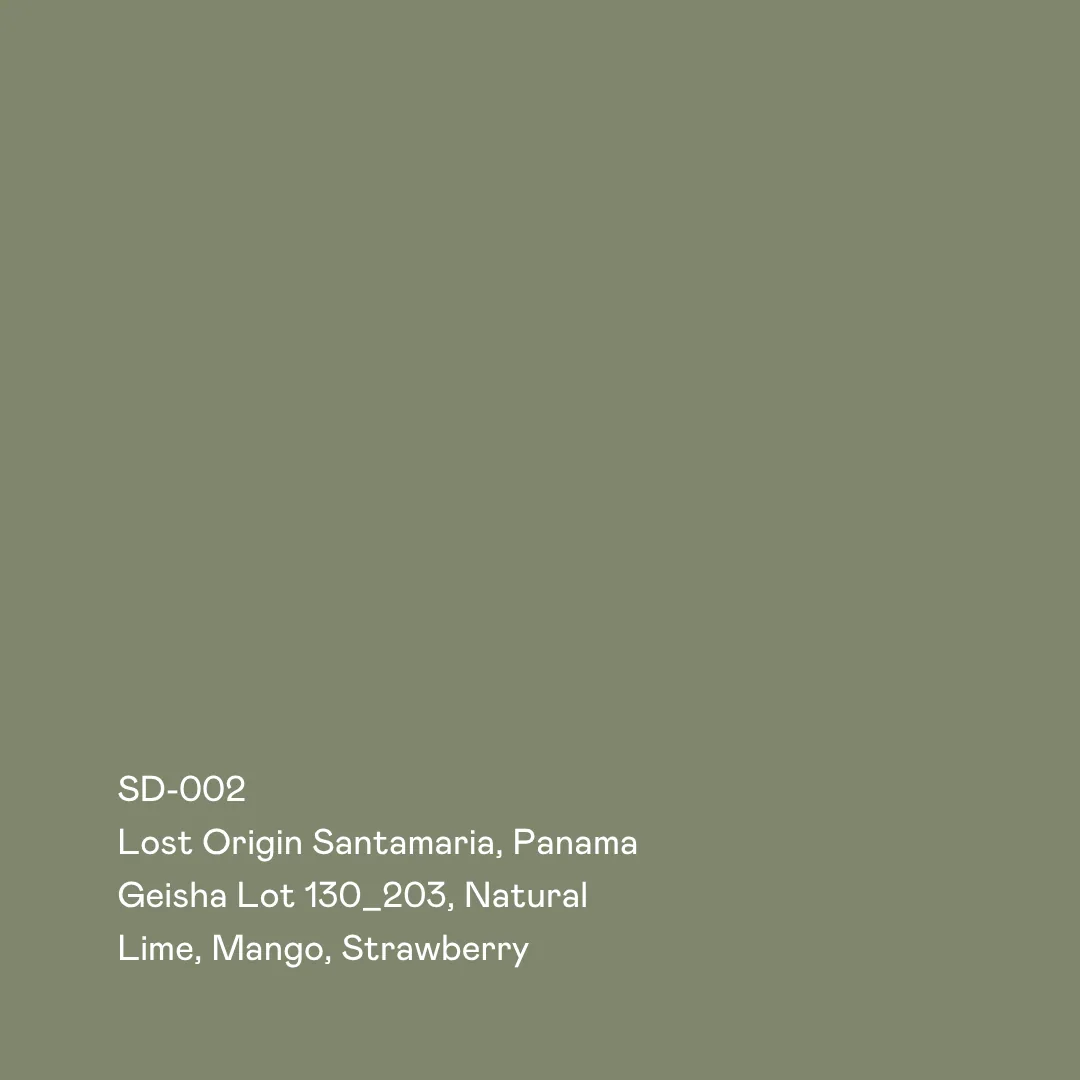 sd-002 - lost origin santamaria, geisha lot 130_203 natural coffee by special guests
