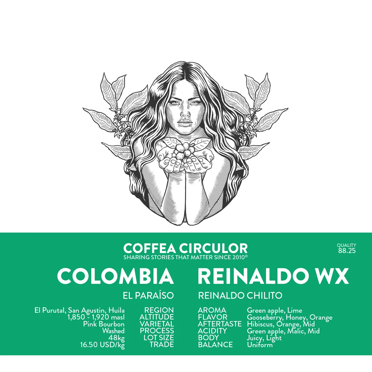 colombia reinaldo chilito pink bourbon washed wx - colombia coffee by coffea circulor