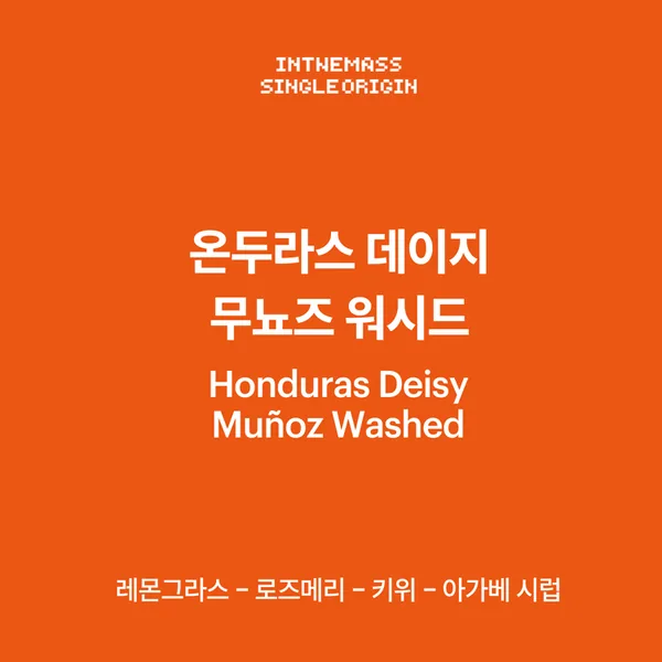 온두라스 데이지 무뇨즈 60g - honduras coffee by inthemass