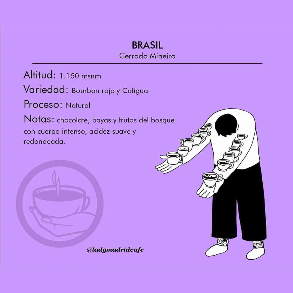 café brasil – región cerrado mineiro coffee by lady madrid roaster y speciality coffee