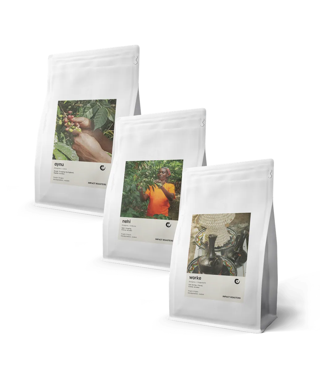 filter trio – 3 x 200g medium roasted coffee - ethiopia coffee by impact roasters