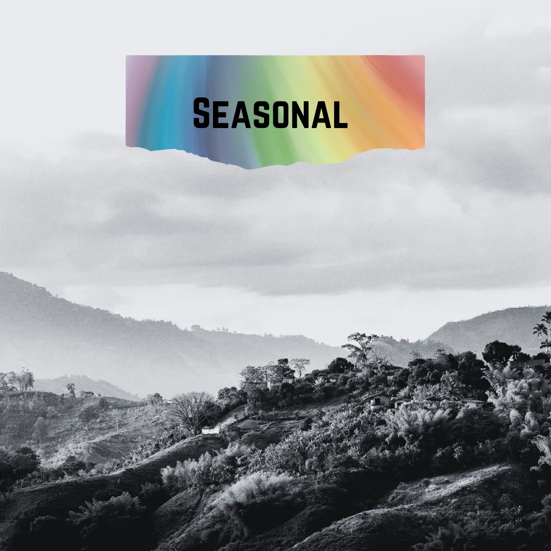 seasonal blend coffee by draft coffee roasters