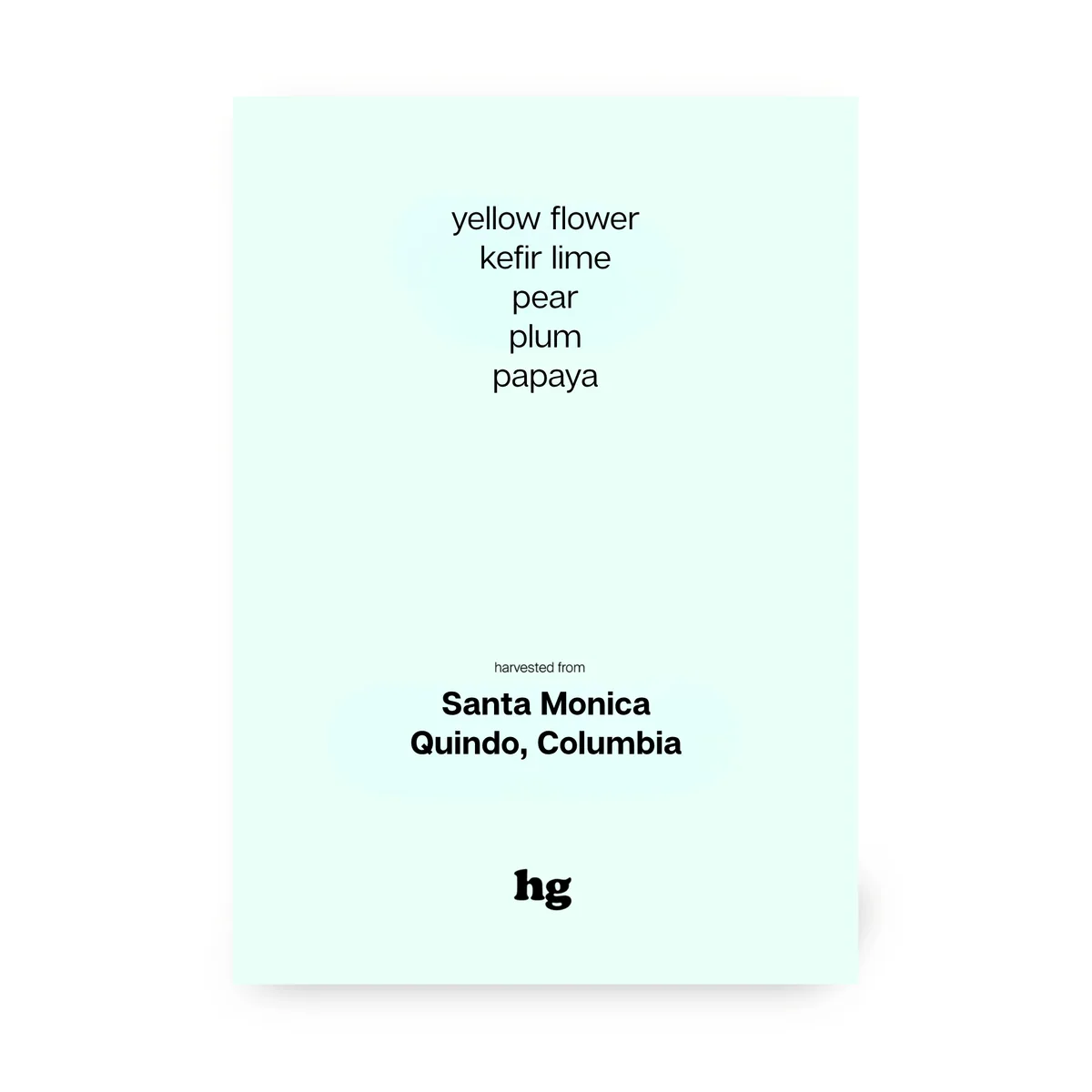 santa monica, pink bourbon, washed, colombia - colombia coffee by homeground coffee roasters