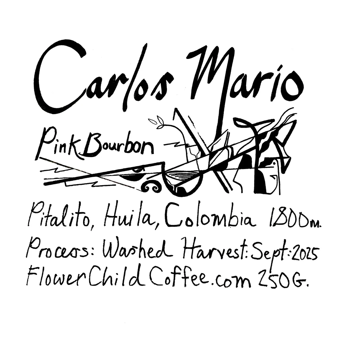 carlos mario coffee by flower child
