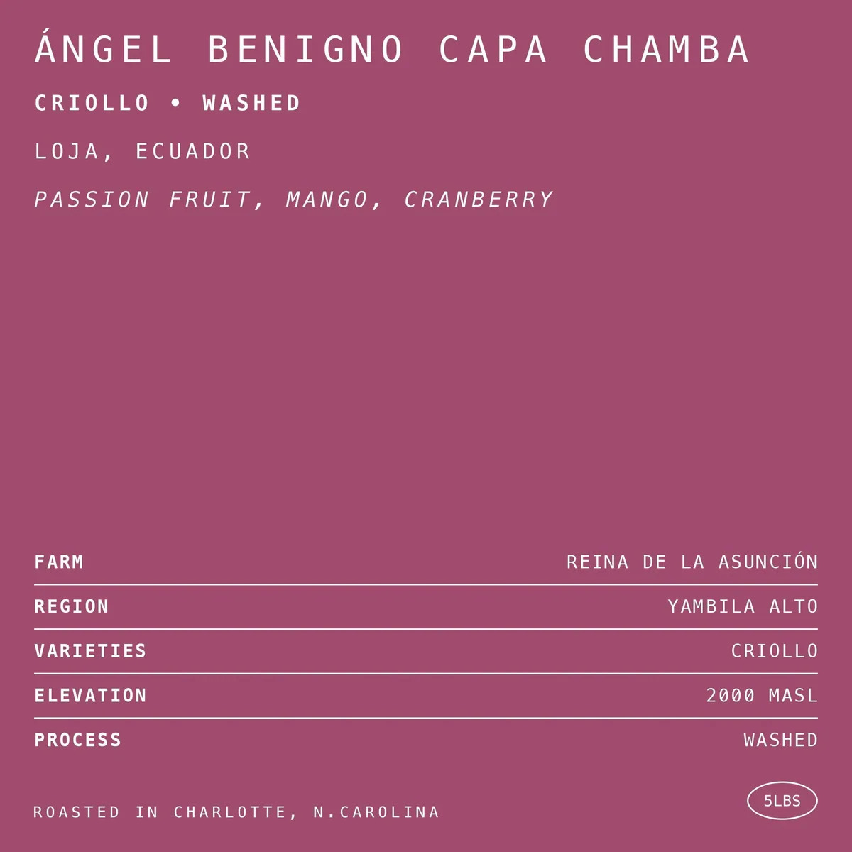 ángel benigno capa chamba criollo • washed coffee by hex coffee roasters
