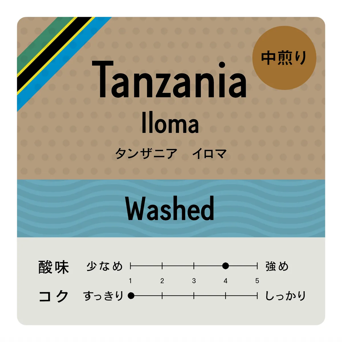 [豆] tanzania iloma coffee by the modern coffee