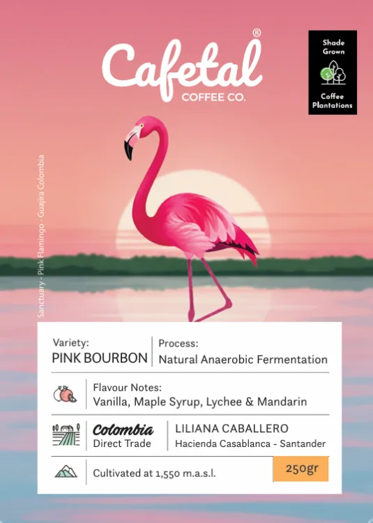 pink bourbon natural coffee beans - colombia coffee by cafetal coffee co.