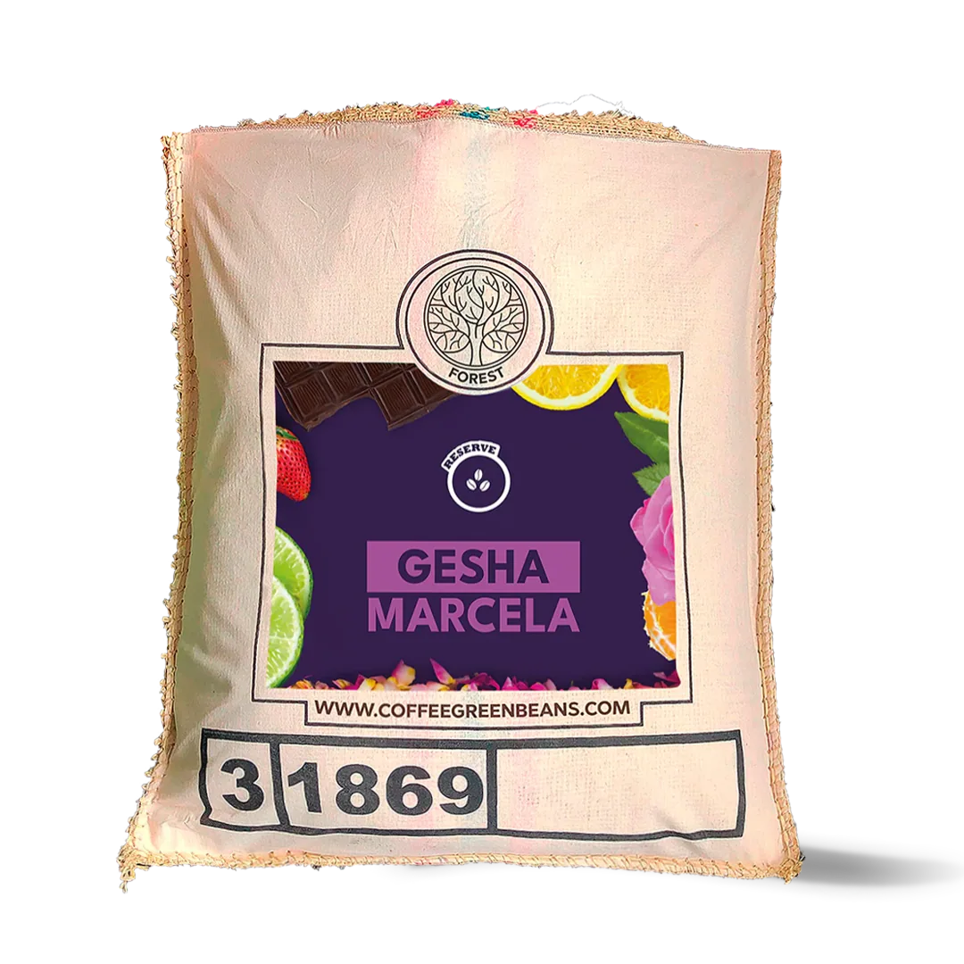 'gesha marcela' single origin green coffee coffee by black vice coffee roasters