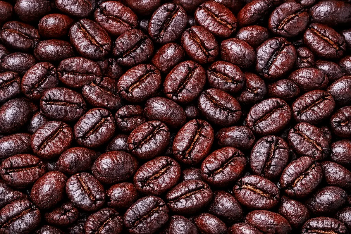 mandheling wine roasted coffee beans - sumatra coffee by pt. indonesia specialty coffee