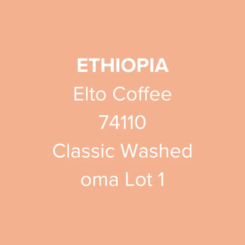 ethiopia elto coffee sidama bona 74110 classic washed oma lot 1 - ethiopia coffee by oma