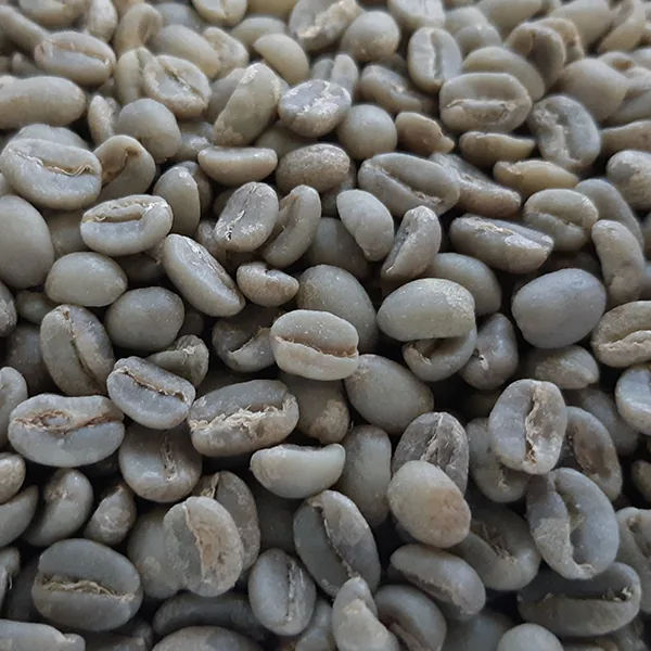 ethiopian gutity gargari washed unroasted green coffee beans 1kg coffee by chiasso coffee roasters