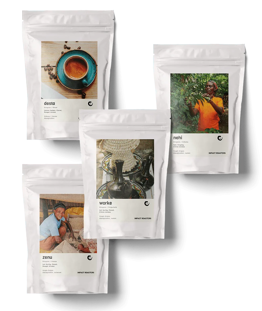 coffee taster - espresso coffee by impact roasters