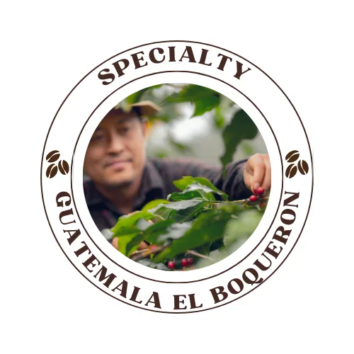 guatemala el boqueron natural- 250g - guatemala coffee by quists coffee
