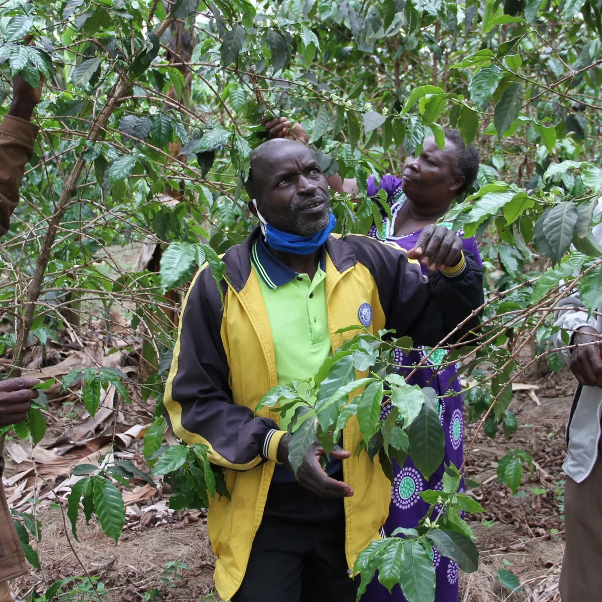 faustin ribarimana, rwanda | espresso coffee by williams & johnson coffee co.
