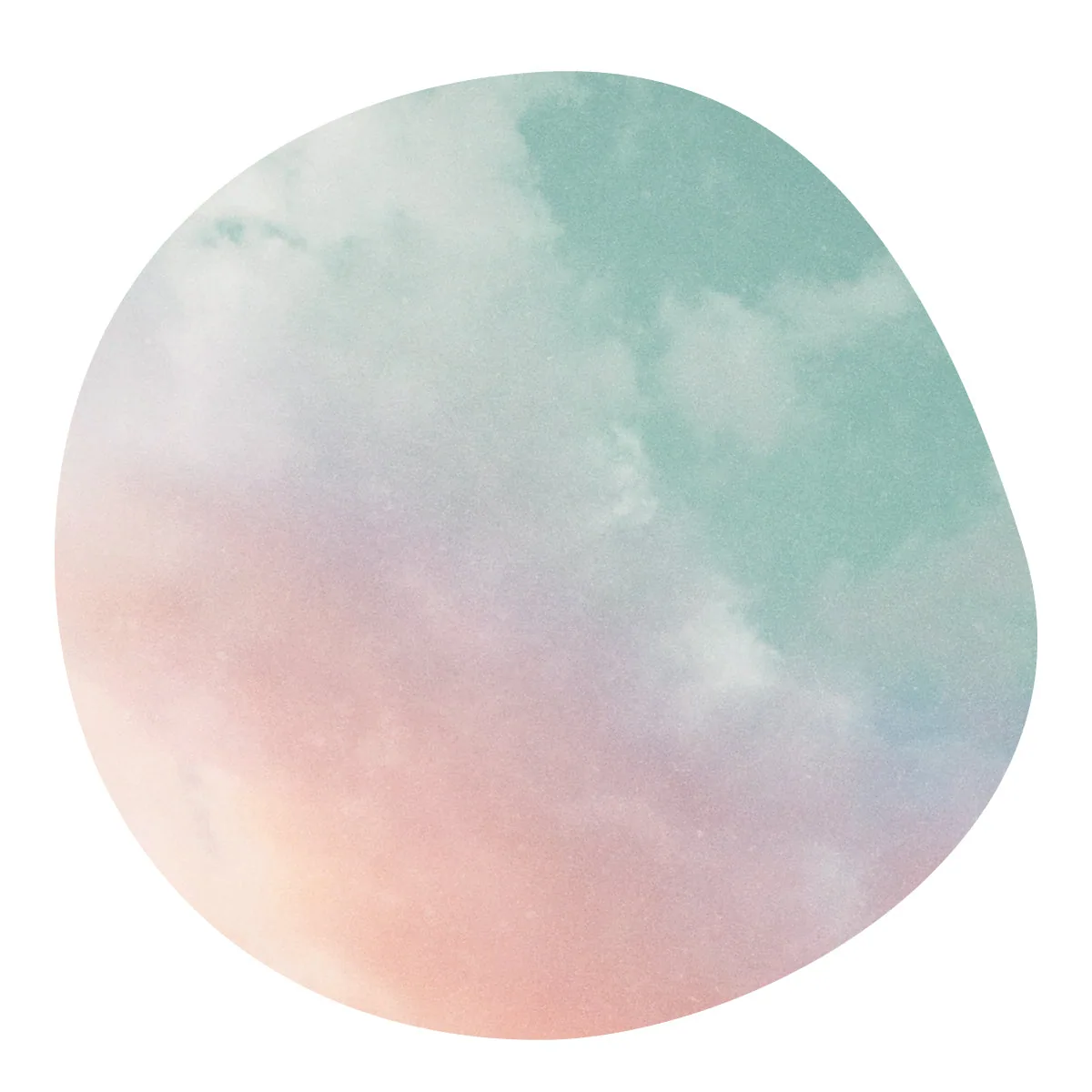 【残りわずか】gilberto guarnizo -pink bourbon- / colombia coffee by aoma coffee