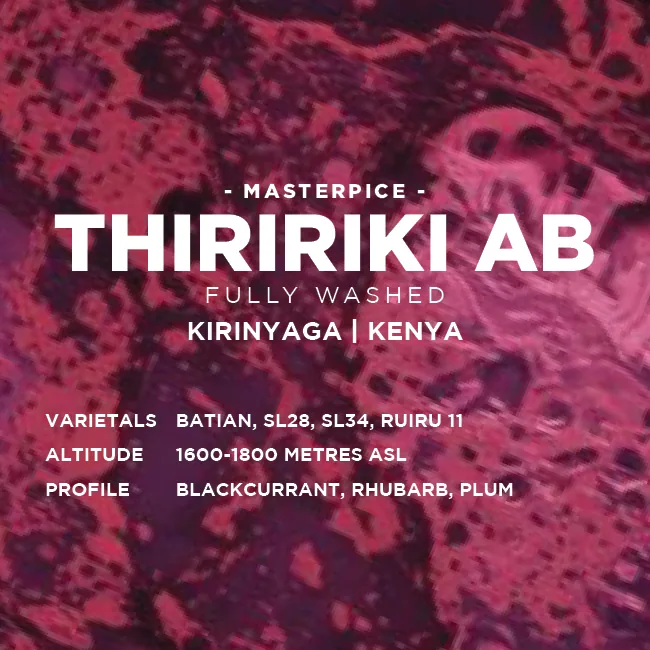 kenya: thiririka ab - kenya coffee by muttley & jack's coffee roasters