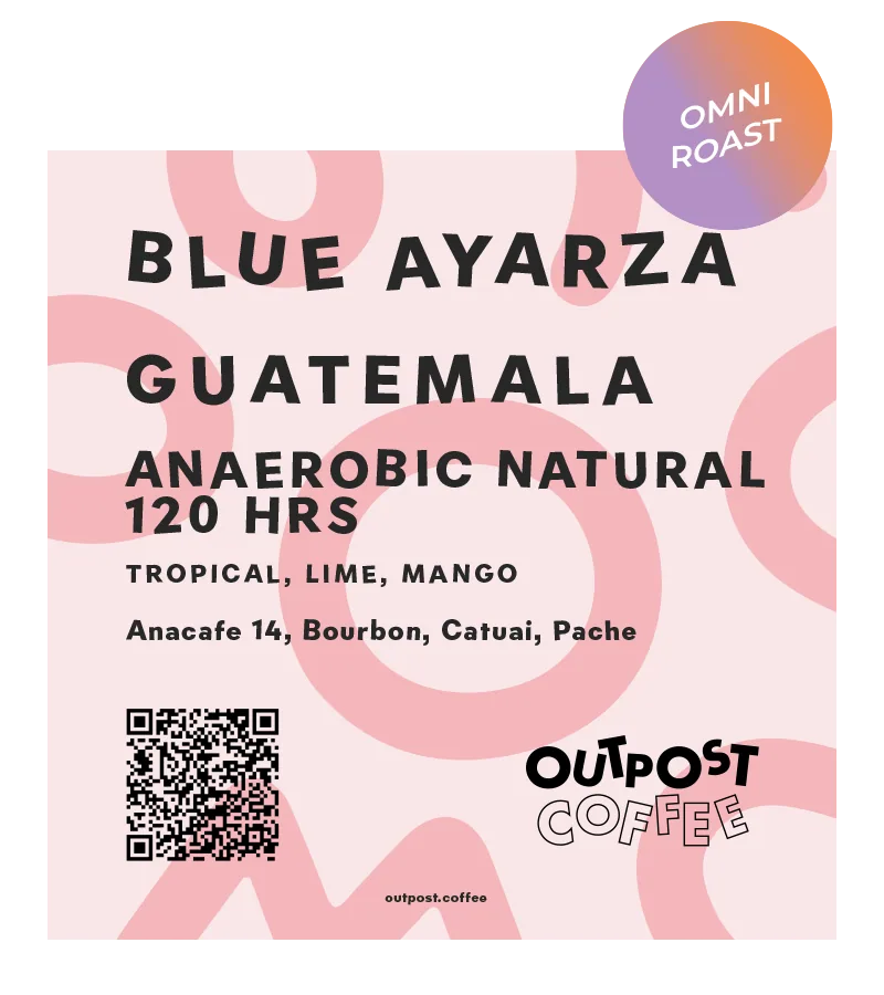 blue ayarza, anaerobic natural 120hrs fermentation, guatemala coffee by outpost coffee roasters