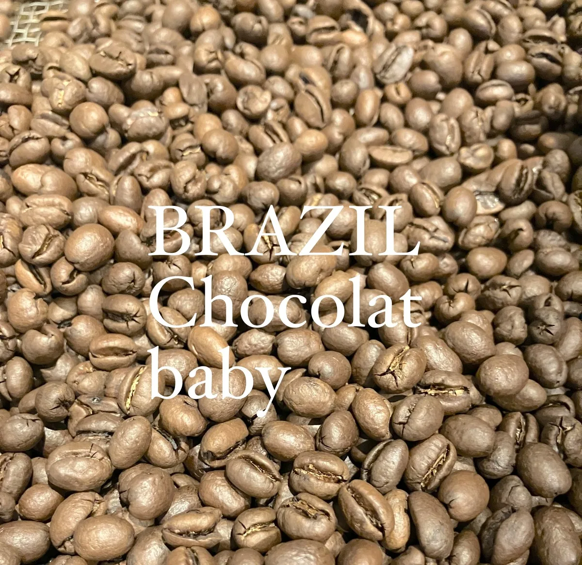 ブラジル・ショコラ・ベビー 200g/brazil・chocolat baby coffee by jupiters coffee roasters