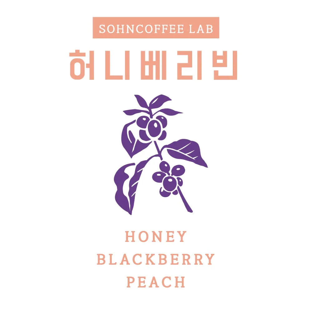허니베리빈 200g - ethiopia coffee by 손커피연구소 의왕삼동점