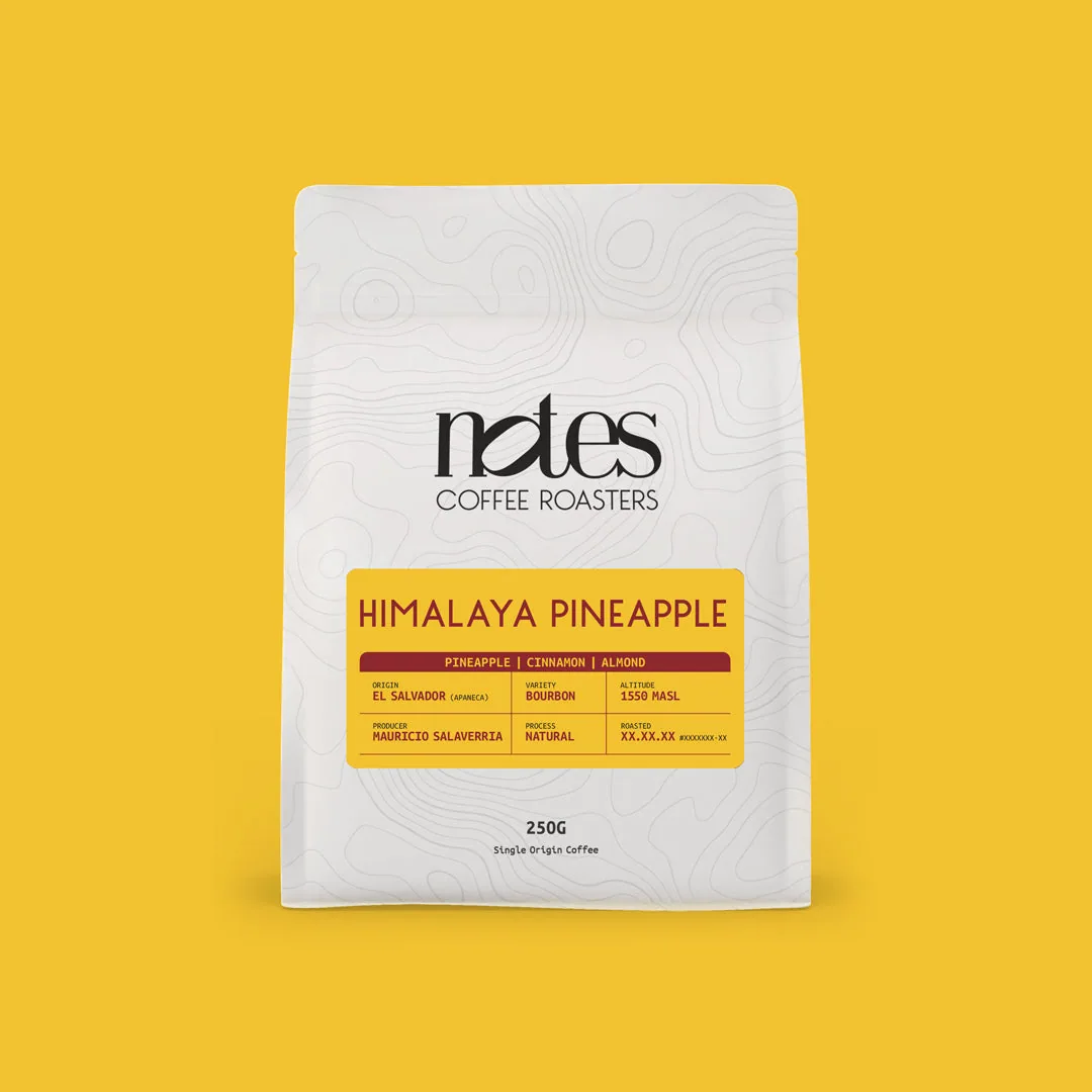 himalaya pineapple | el salvador coffee by notes coffee roasters