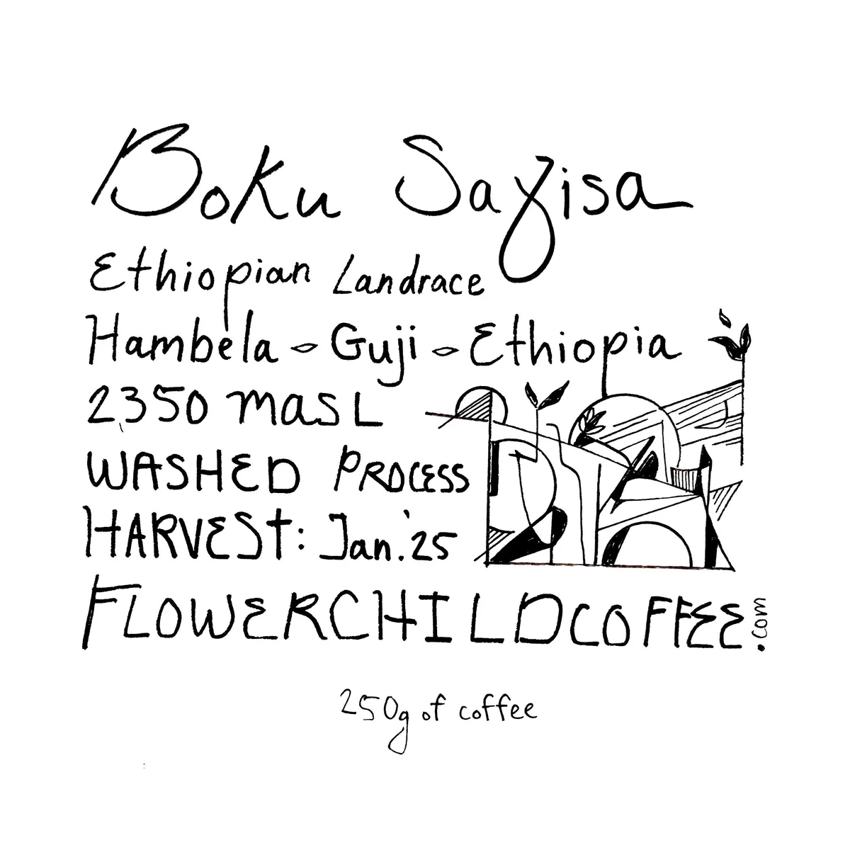 boku sayisa - ethiopia coffee by flower child