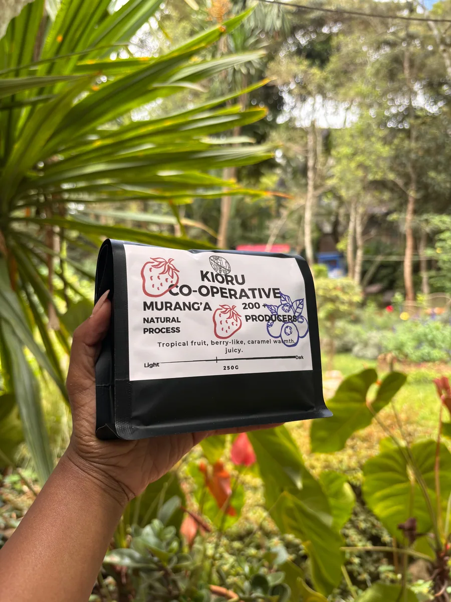 kioru co- operative - kenya coffee by coffee lab nairobi